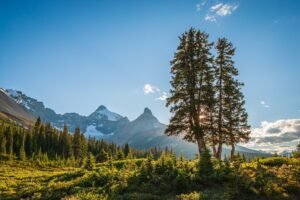 Jasper National Park, Alberta 