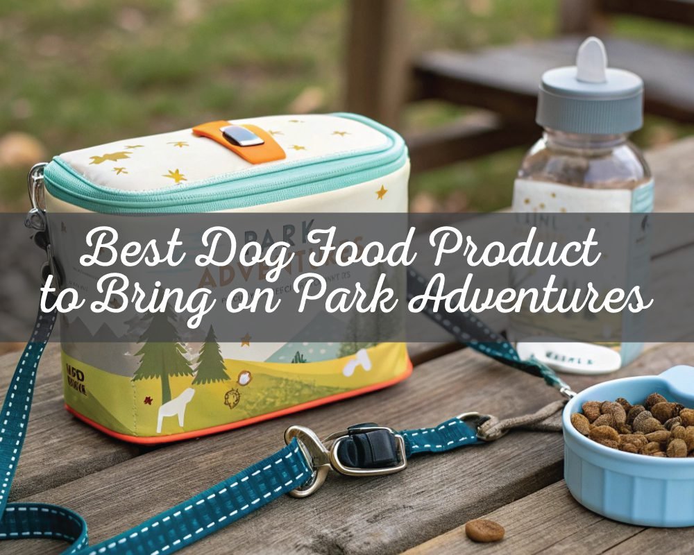 Best Dog Food Product