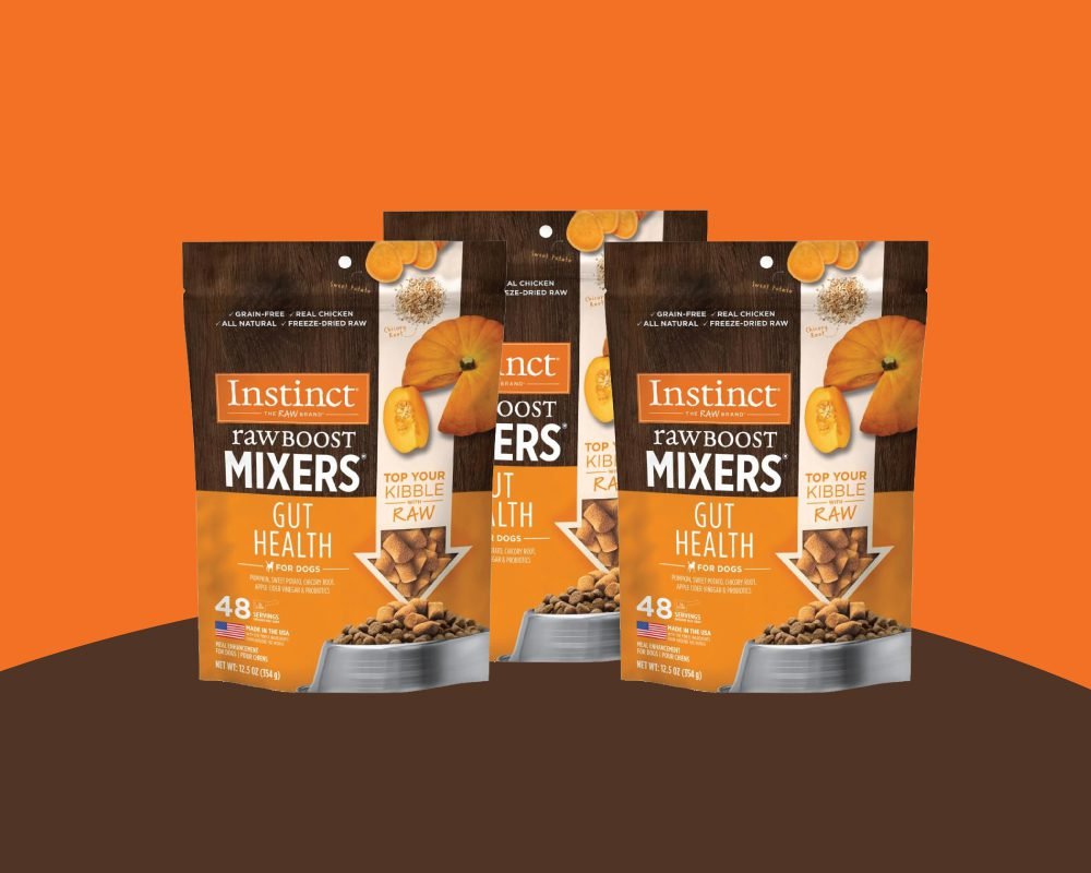 Dog Food for Park Adventures