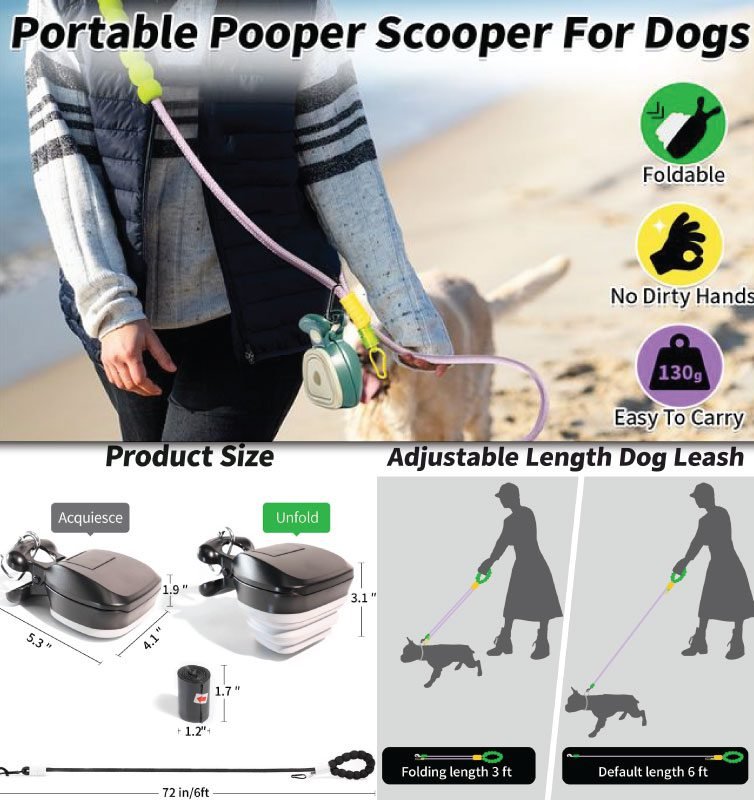 Best-Dog-Leash-for-Outdoor-Activities