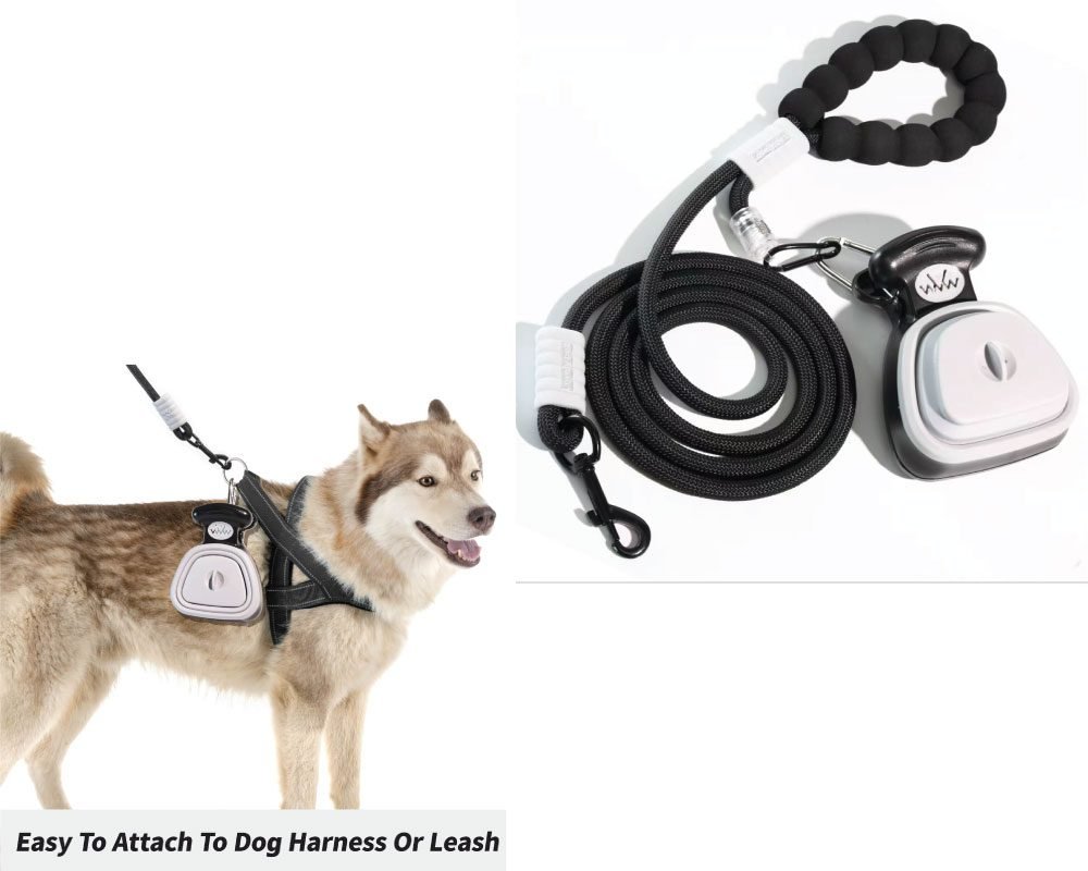 Best Dog Leash