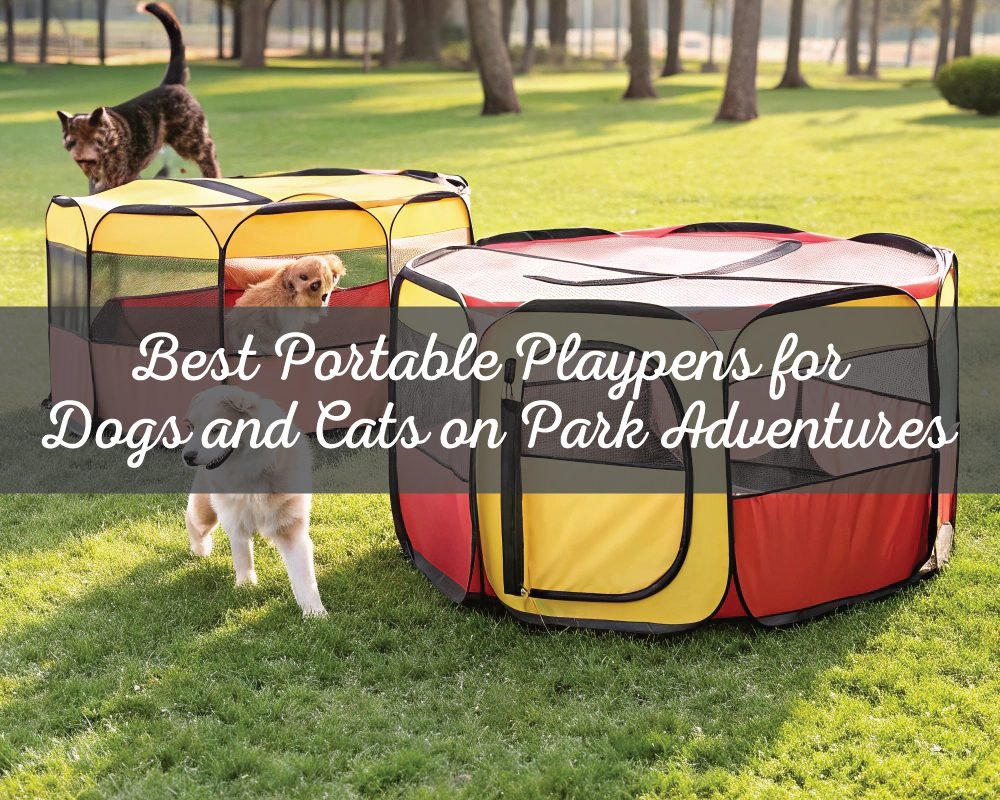 Best Portable Playpens