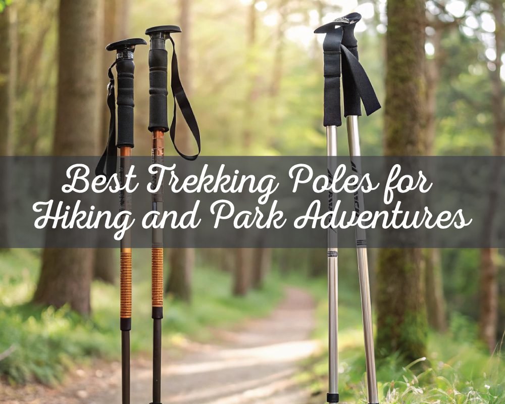 Best Trekking Poles