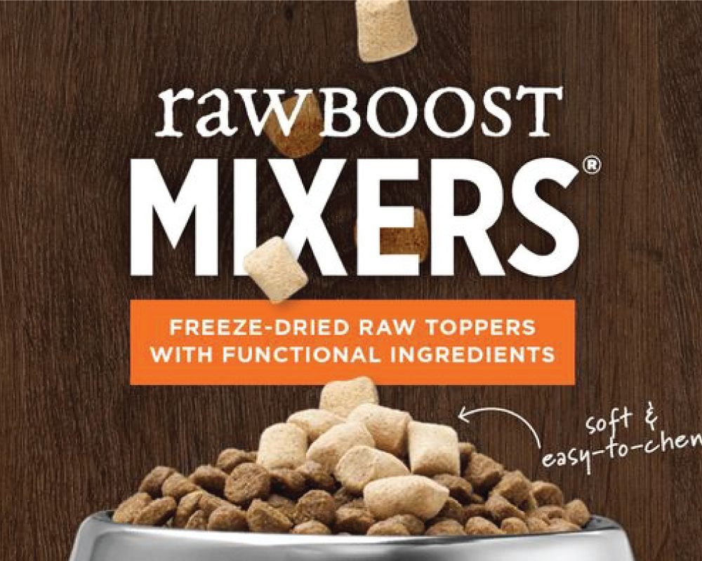 Best Dog Food Product to Bring on Park Adventures