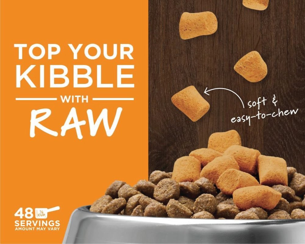 Dog Food for Travel