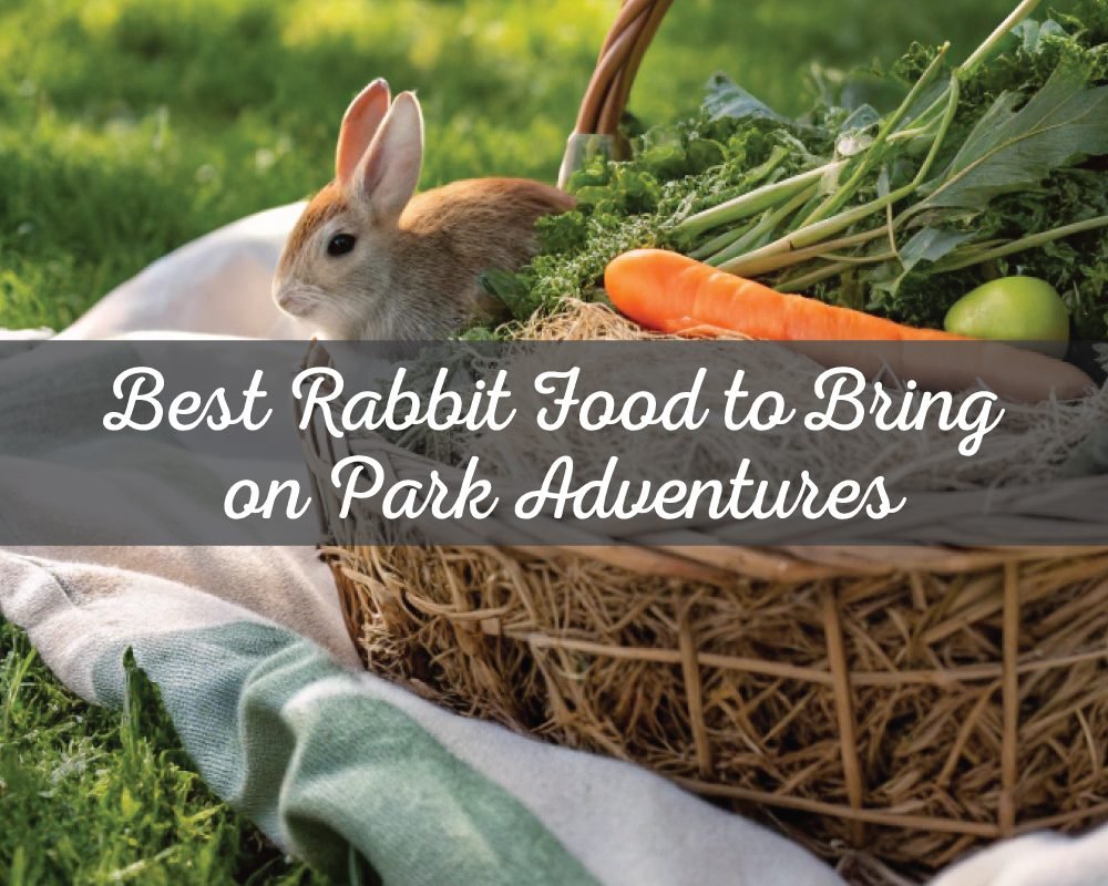 Best Rabbit Food