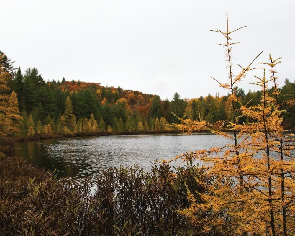 Algonquin Provincial Park: A Gem Among Parks in Ontario for Nature and Golf Lovers Provincial Park.