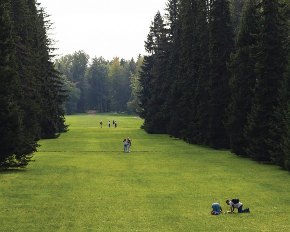 A collage of two scenic golf courses. One image shows a green fairway with mountains and a small lake, representing a beautiful park setting. The other image shows a wide, tree-lined fairway with people enjoying the park-like atmosphere. A separate image's title mentions Hidden Golf Course Gems Inside Canada's Provincial Parks.