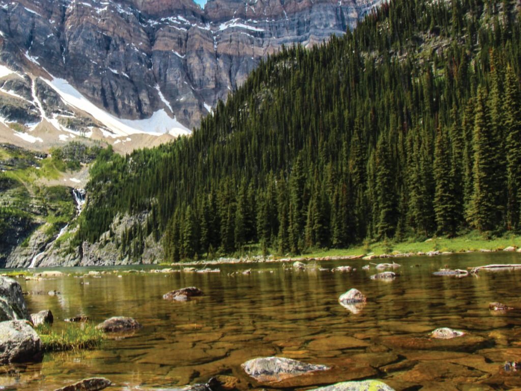  A clear mountain lake with a rocky bottom, surrounded by a dense forest of pine trees and a rocky, snow-dusted mountain in the background.