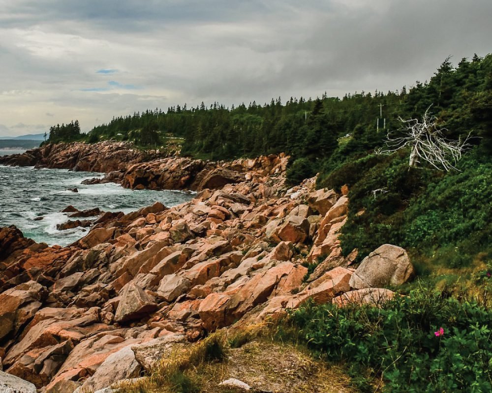 Rugged coastal landscape with red-hued rocks, crashing waves, and a dense forest on the cliffs under a dramatic cloudy sky, exemplifying Golf and Nature.