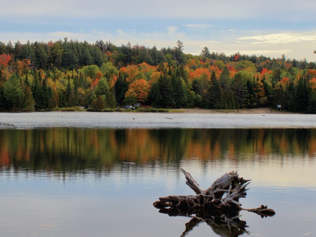A tranquil lake with a piece of driftwood in the foreground, and a shoreline filled with trees in autumn colors reflecting on the water.